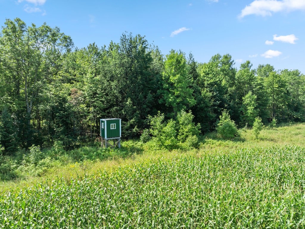 W3596 Artisan Drive Glen Flora WI 54526 — photo 27