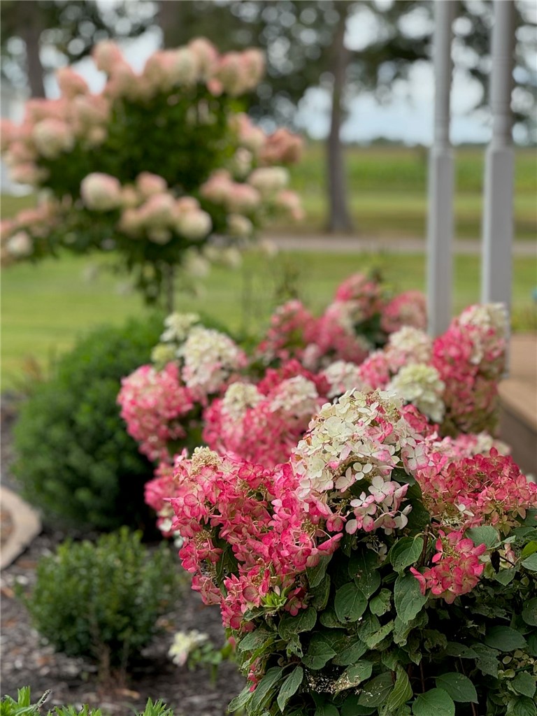 W3596 Artisan Drive Glen Flora WI 54526 — photo 60