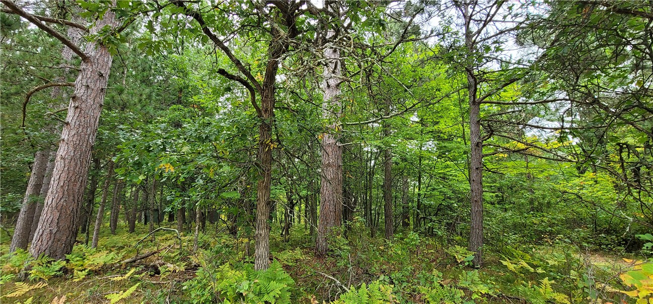 13953 E Wolf Drive, Gordon, WI — photo 10