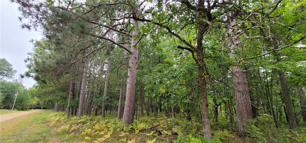 13953 E Wolf Drive, Gordon, WI — photo 11