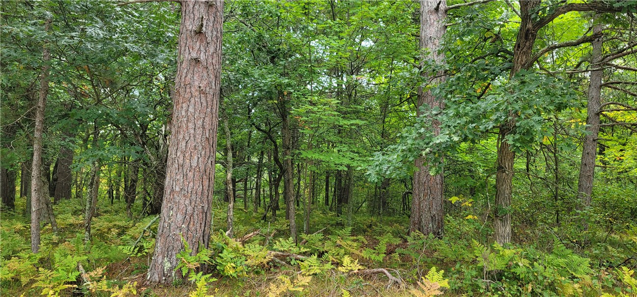 13953 E Wolf Drive, Gordon, WI — photo 13