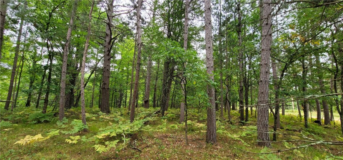 13953 E Wolf Drive, Gordon, WI — photo 15