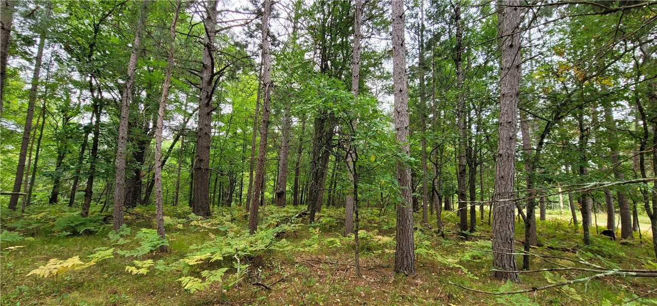 13953 E Wolf Drive, Gordon, WI — photo 15