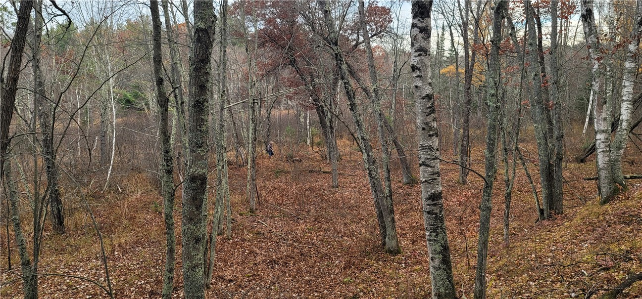 13953 E Wolf Drive, Gordon, WI — photo 23