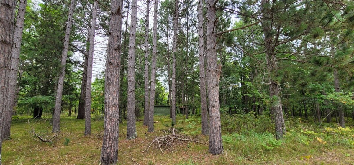 13953 E Wolf Drive, Gordon, WI — photo 7