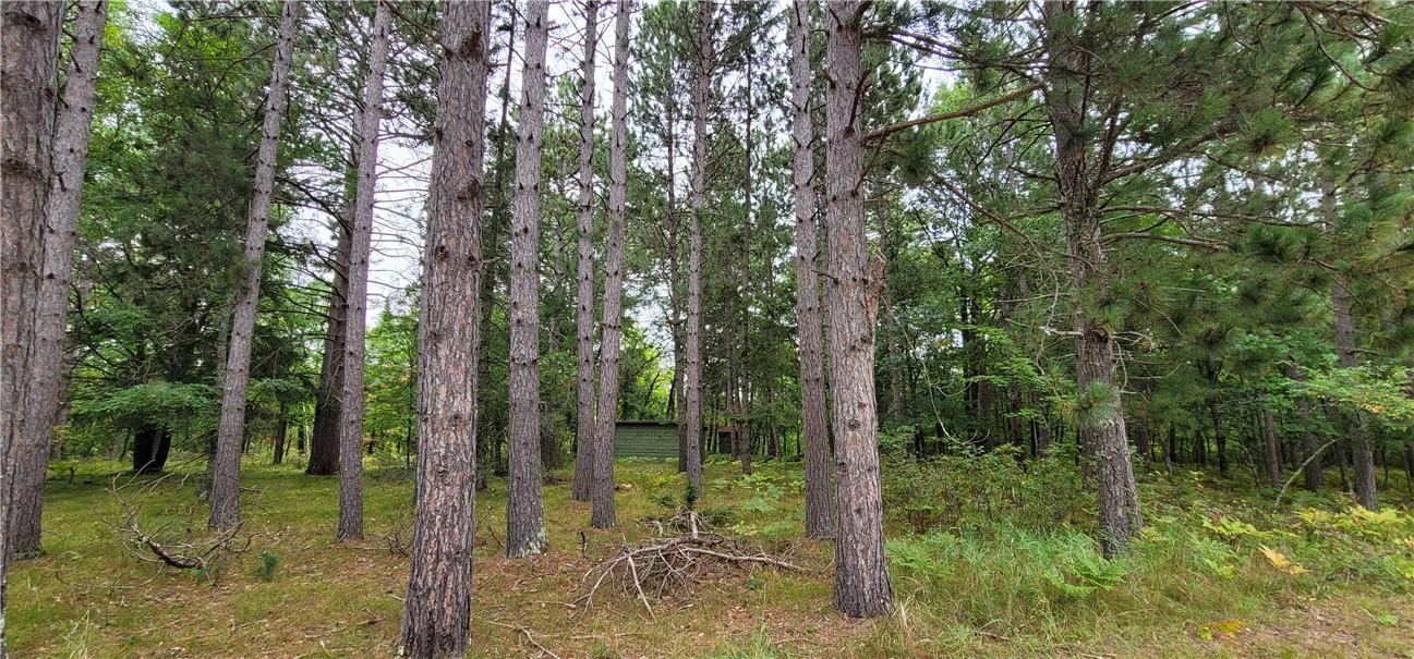 13953 E Wolf Drive, Gordon, WI — photo 7