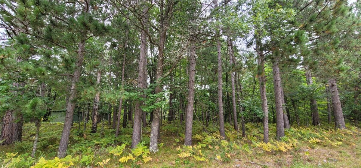 13953 E Wolf Drive, Gordon, WI — photo 9