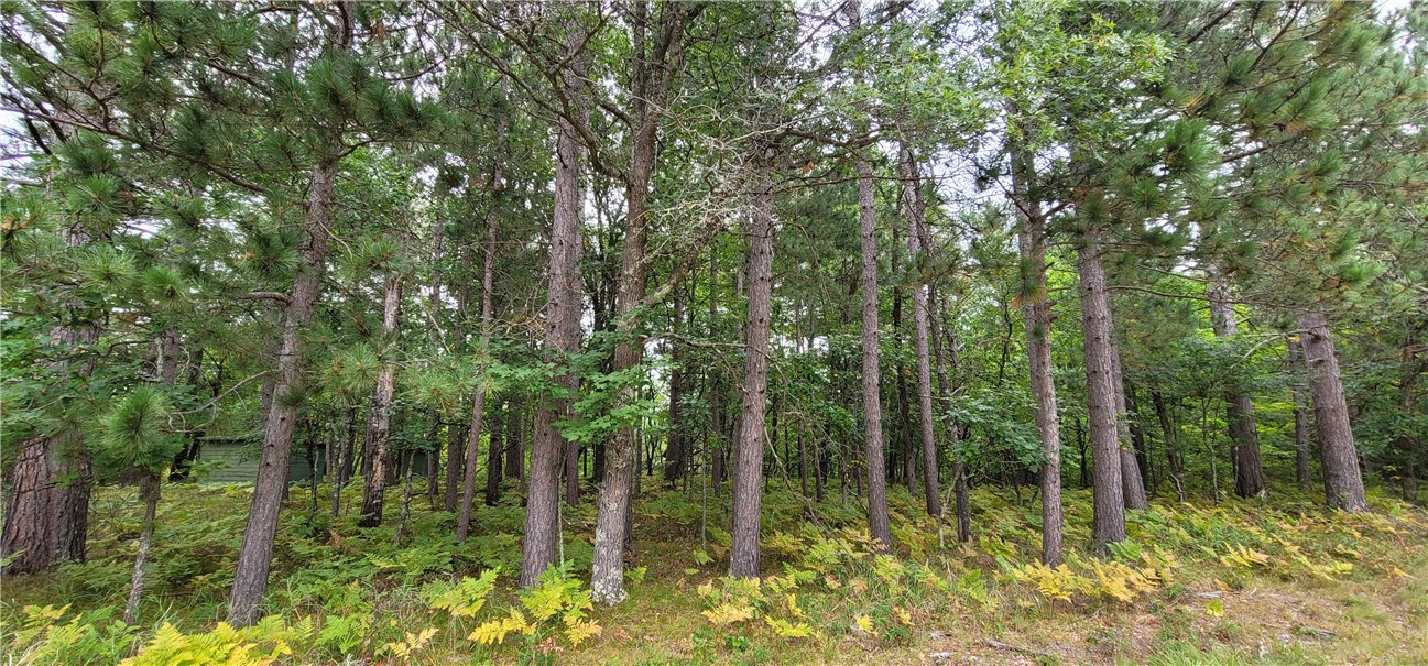 13953 E Wolf Drive, Gordon, WI — photo 9