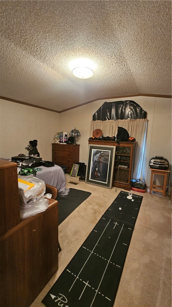 6753 S County Road P Lake Nebagamon WI 54849 — photo 19