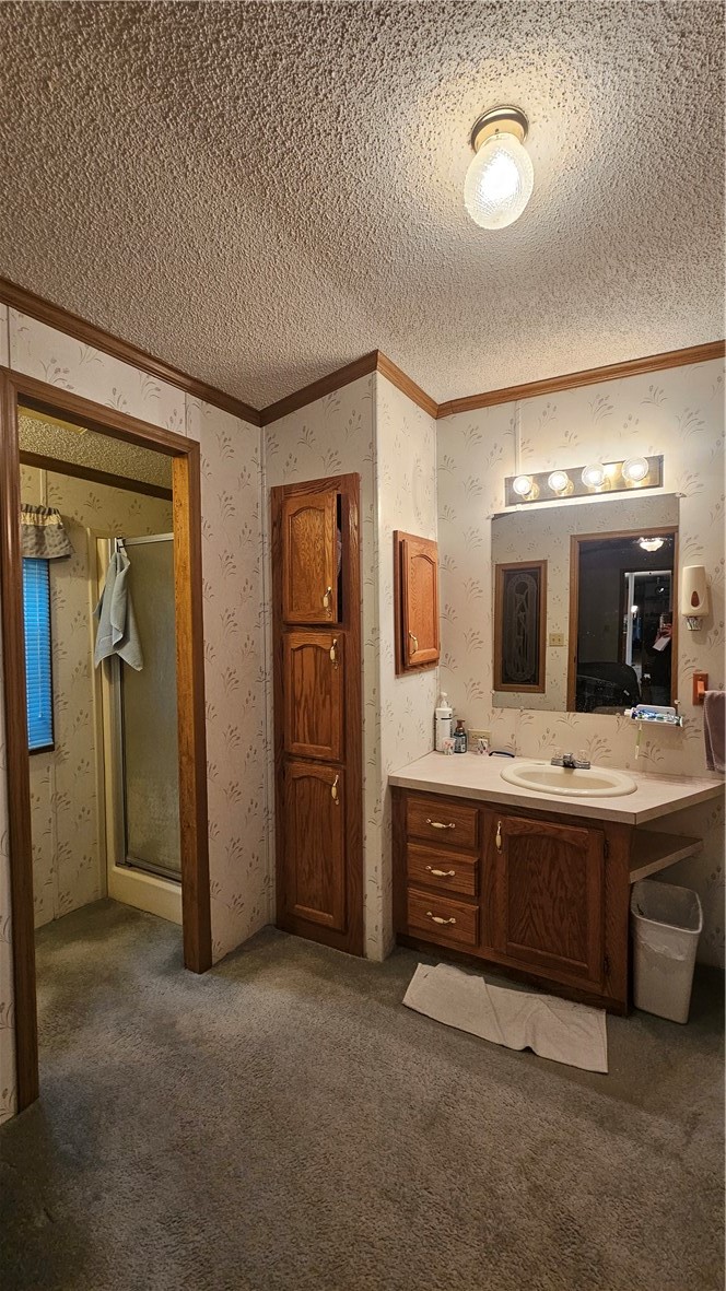 6753 S County Road P Lake Nebagamon WI 54849 — photo 28