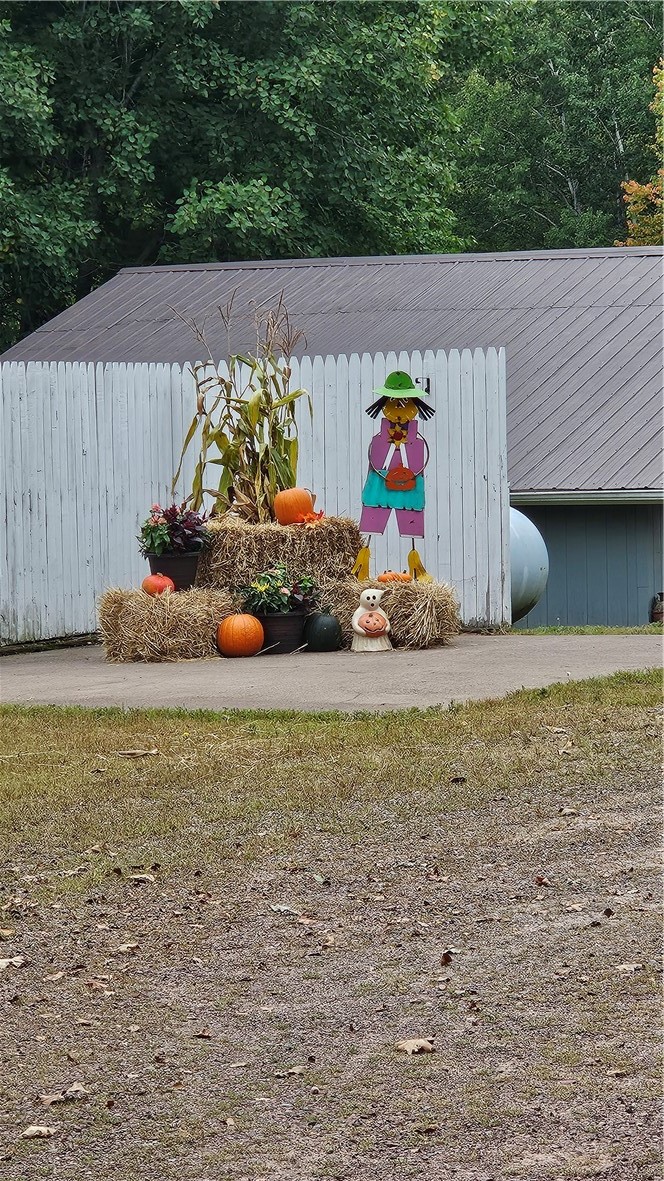6753 S County Road P Lake Nebagamon WI 54849 — photo 4