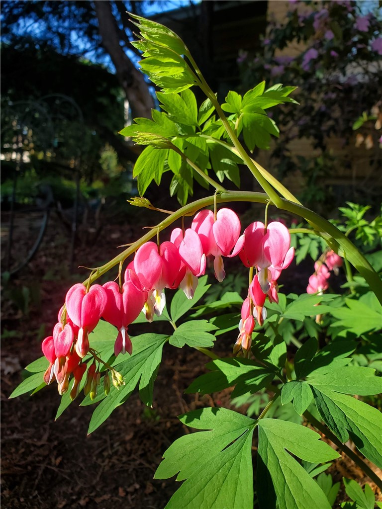 707 W Columbia Street, Chippewa Falls, WI — photo 53