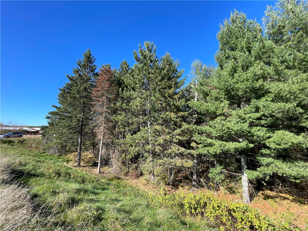 0 Heinz Road, Hayward, WI — photo 10