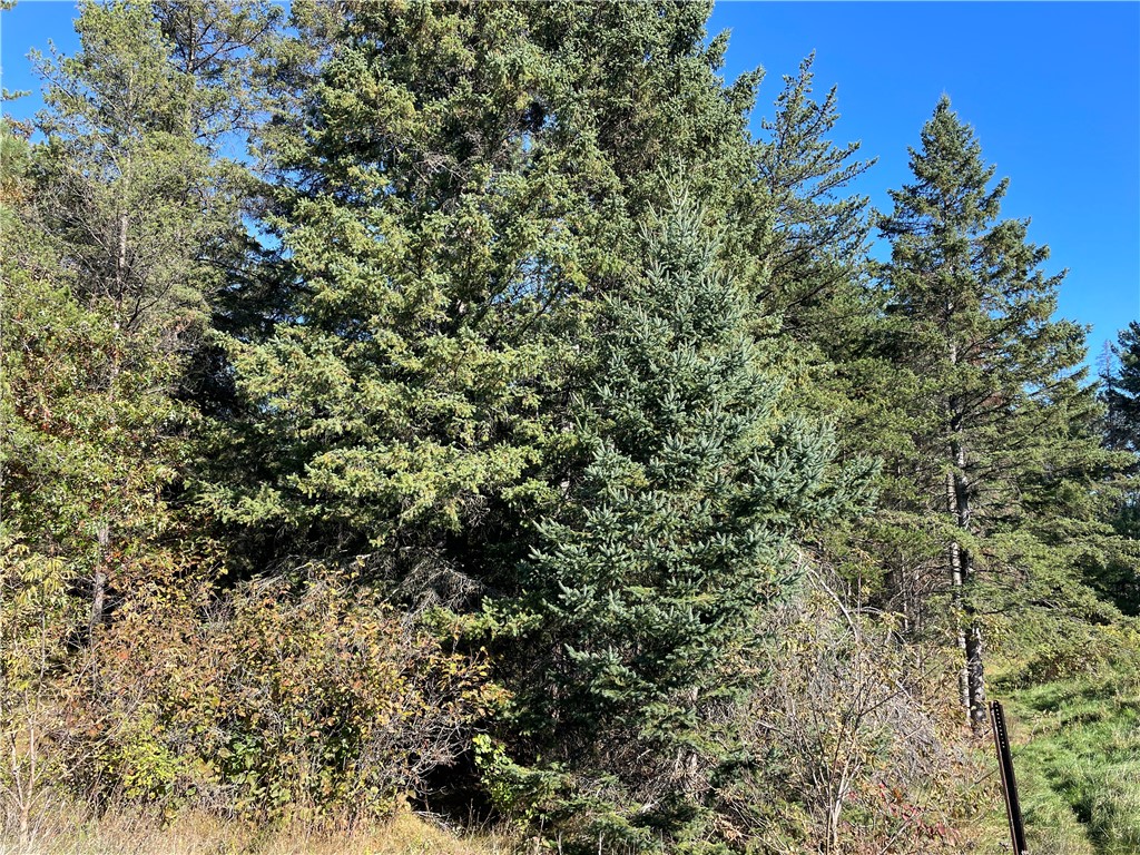 0 Heinz Road, Hayward, WI — photo 11