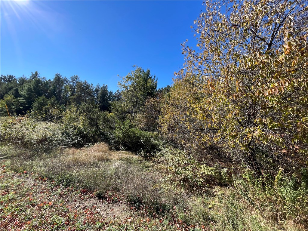 0 Heinz Road, Hayward, WI — photo 6