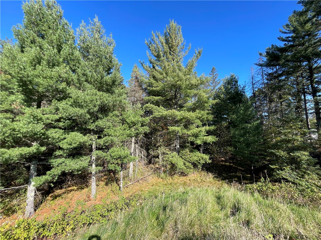 0 Heinz Road, Hayward, WI — photo 8