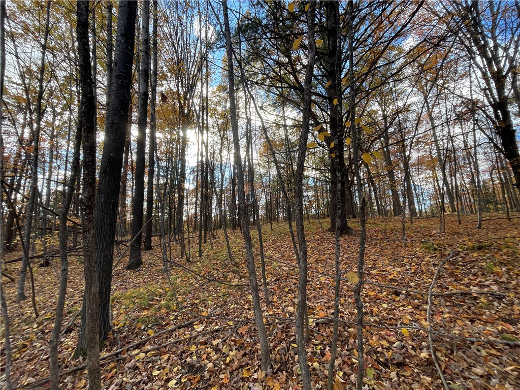 0 W Tanager Trail, Hayward, WI — photo 20