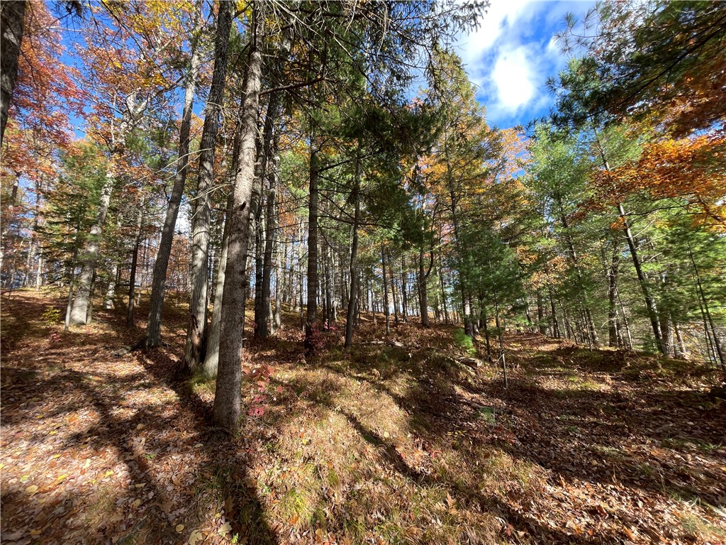 0 W Tanager Trail, Hayward, WI — photo 42