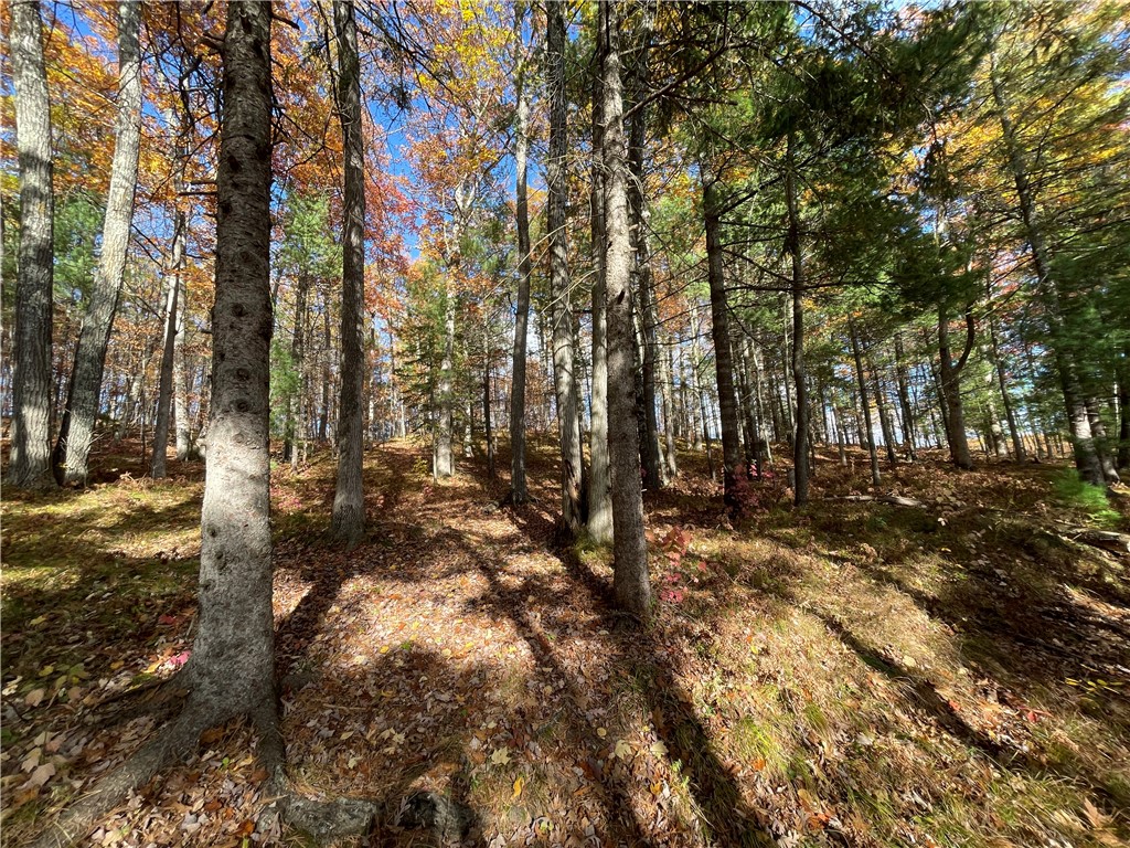 0 W Tanager Trail, Hayward, WI — photo 43