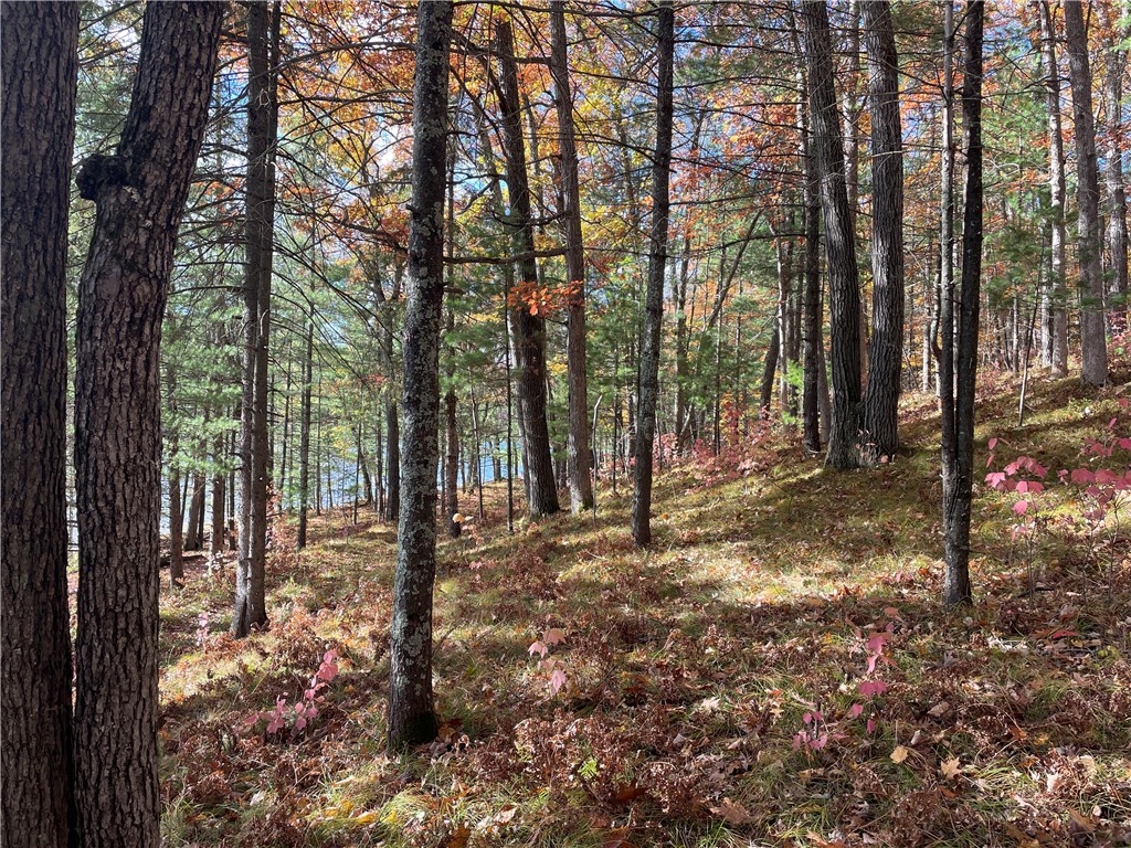 0 W Tanager Trail, Hayward, WI — photo 48