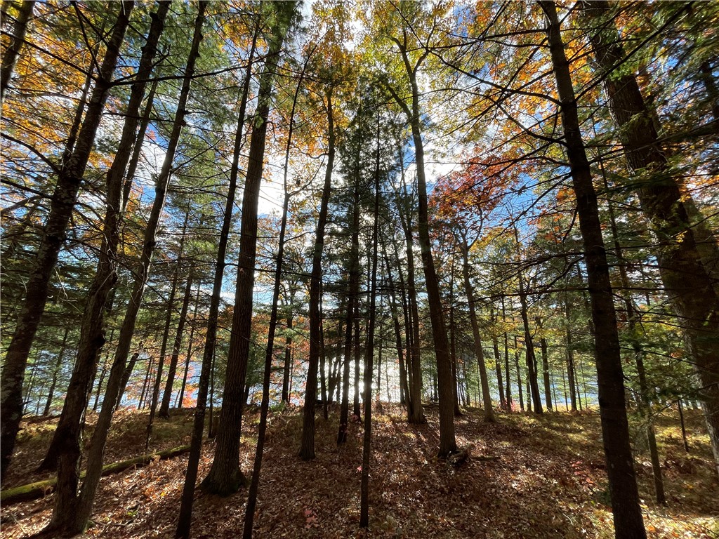 0 W Tanager Trail, Hayward, WI — photo 51