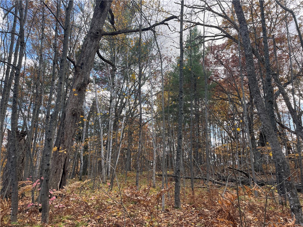 0 W Tanager Trail, Hayward, WI — photo 55