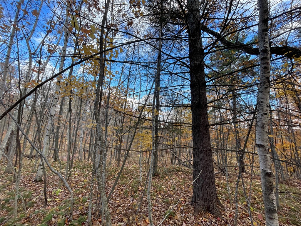 0 W Tanager Trail, Hayward, WI — photo 57