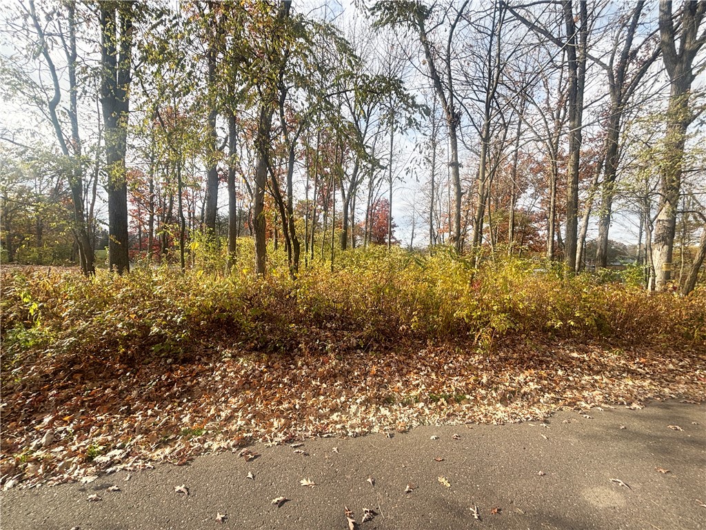 Land at 1118 Heart Island Parkway, Rice Lake, WI 54868 — photo 7