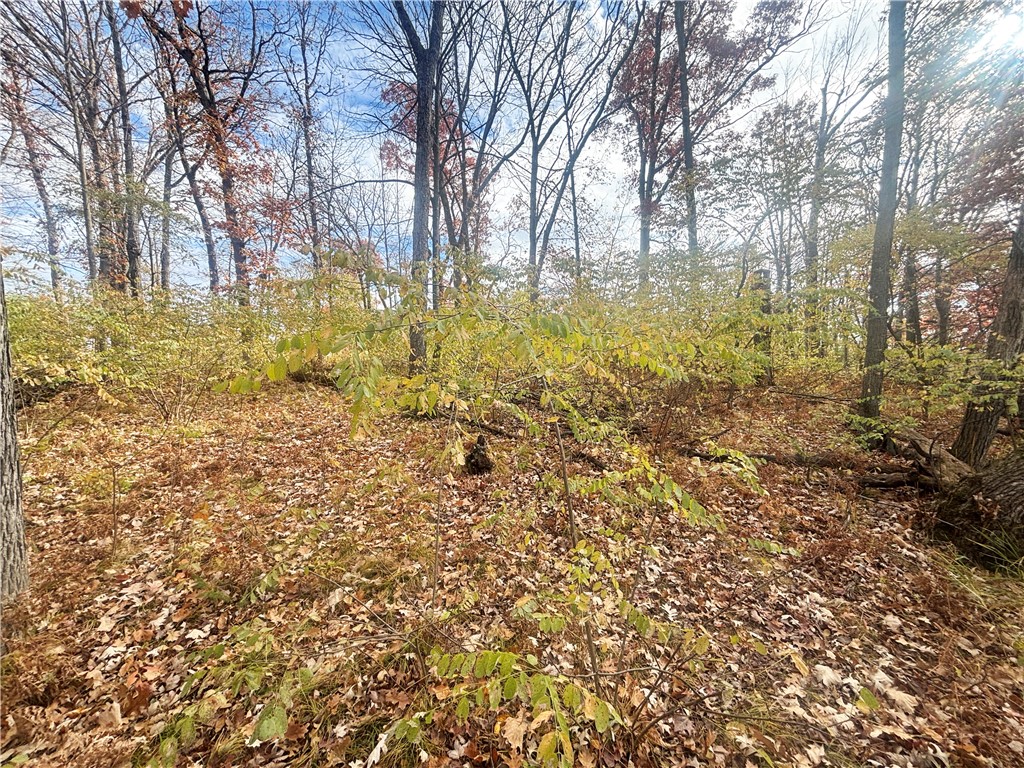 Land at 1118 Heart Island Parkway, Rice Lake, WI 54868 — photo 8