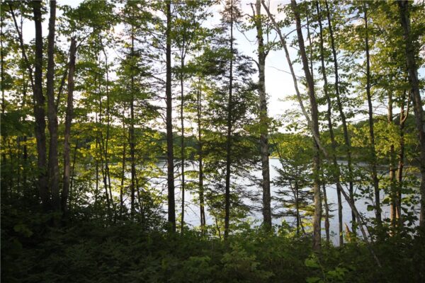 Lot 1 Timber Wolf Drive, Springbrook, WI