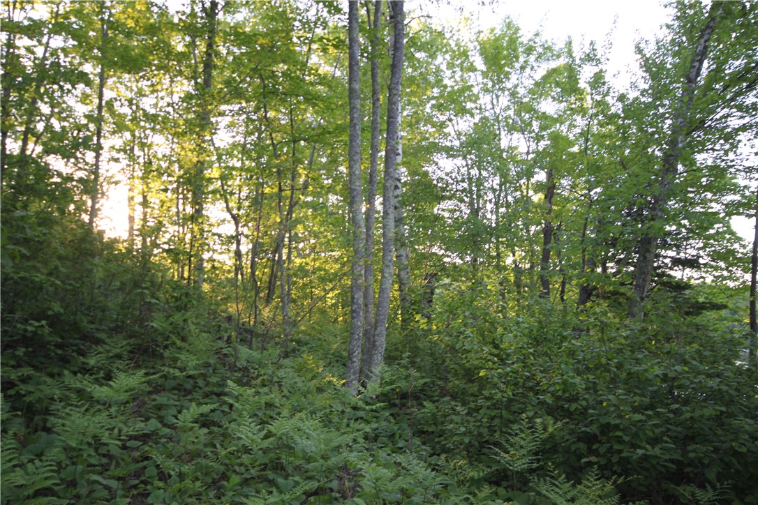 Lot 1 Timber Wolf Drive, Springbrook, WI — photo 10
