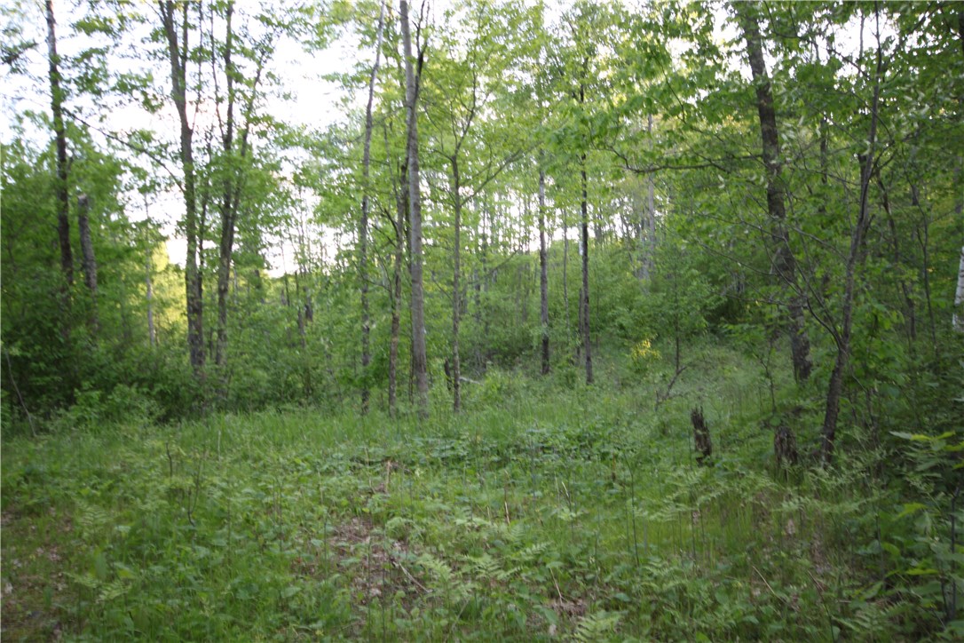 Lot 1 Timber Wolf Drive, Springbrook, WI — photo 3