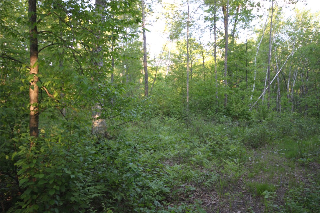 Lot 1 Timber Wolf Drive, Springbrook, WI — photo 4