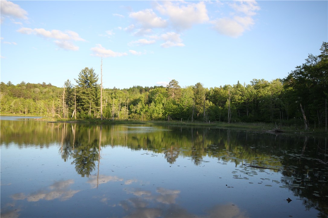 Lot 1 Timber Wolf Drive, Springbrook, WI — photo 5