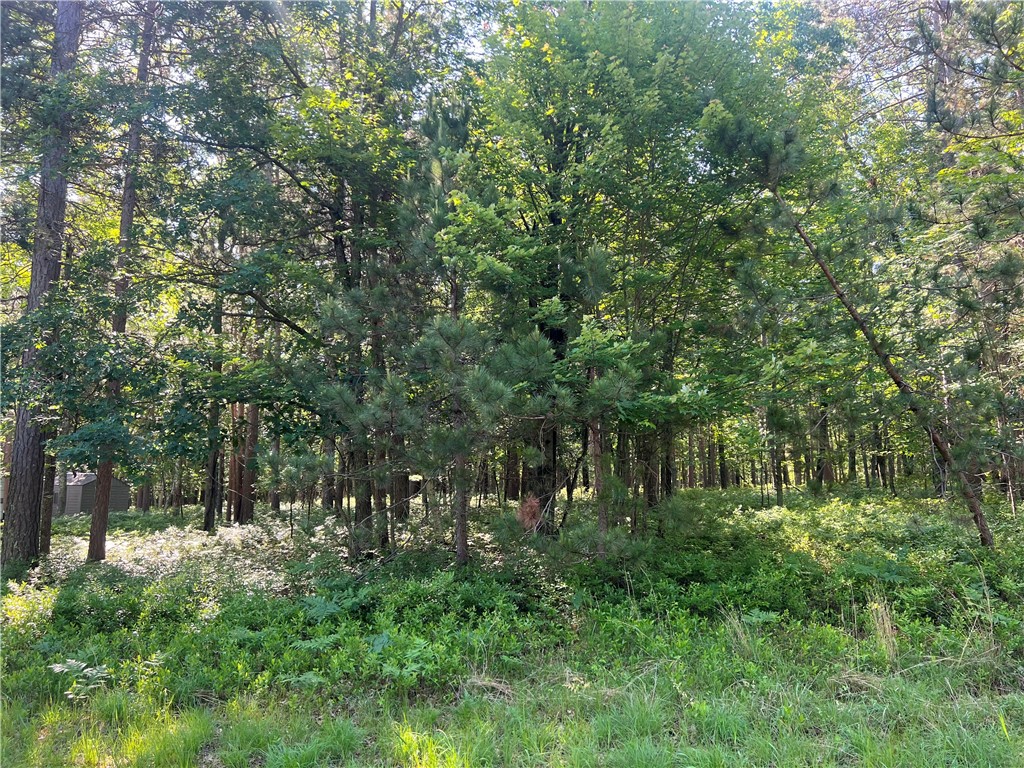 Land at Lot 3 Fox Ridge Pass, Danbury, WI 54830 — photo 14