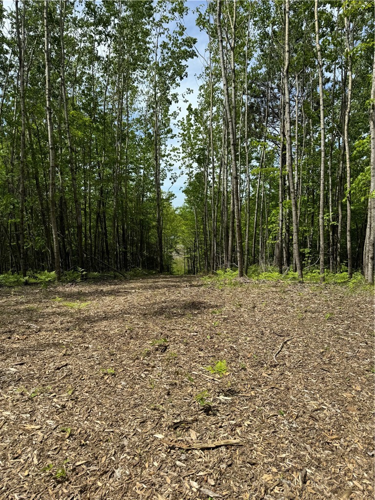 Land at Lot 4 Fox Ridge Pass, Danbury, WI 54830 — photo 14