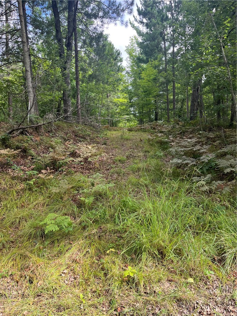 Land at Lot 5 Fox Ridge Pass, Danbury, WI 54830 — photo 14
