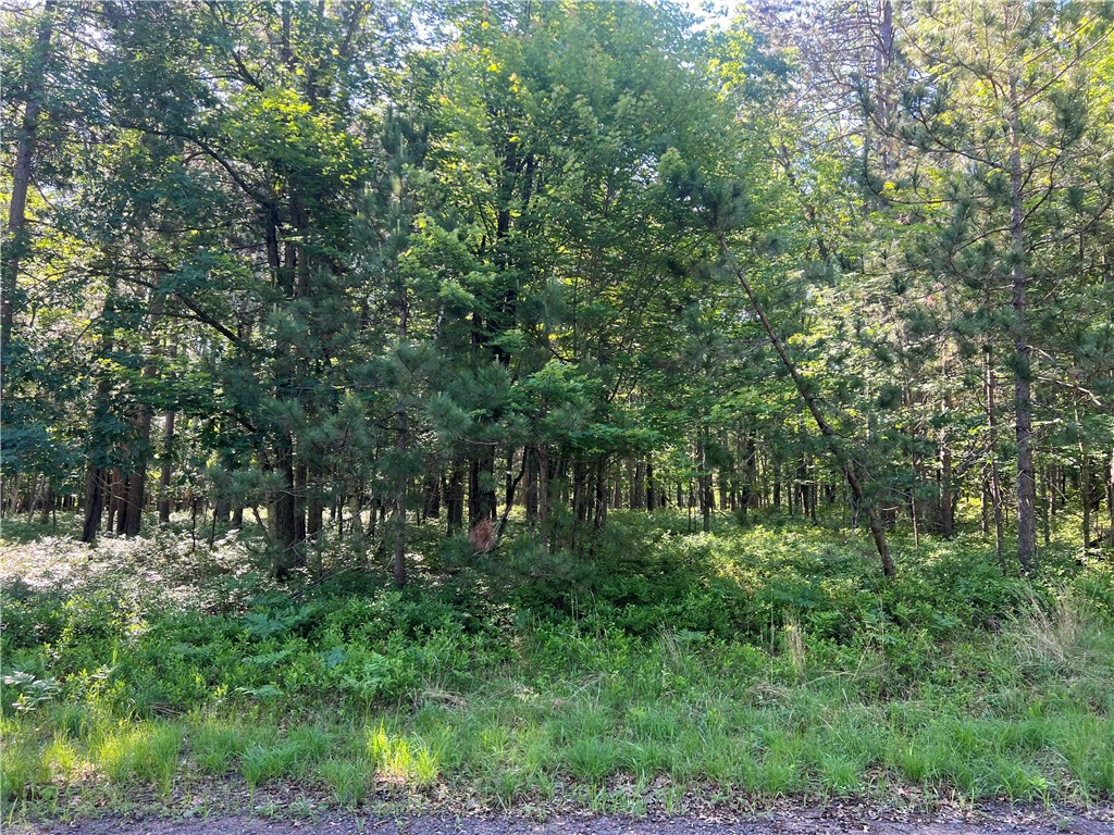 Land at Lot 6 Fox Ridge Pass, Danbury, WI 54830 — photo 14