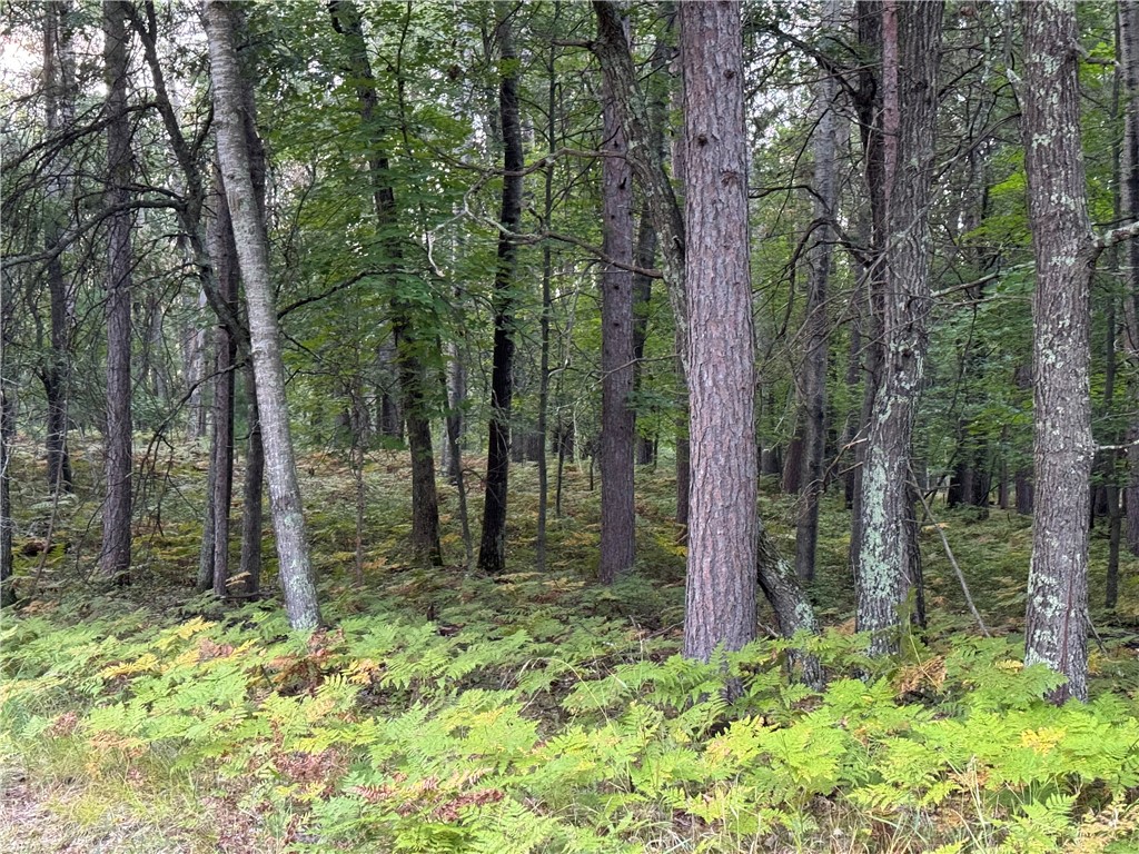 Land at Lot 60 Honey Tree Terrace, Danbury, WI 54830 — photo 14