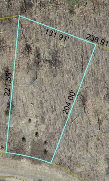 Lot 61 Honey Tree Terrace