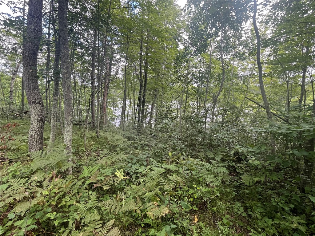 Land at Lot 61 Honey Tree Terrace, Danbury, WI 54830 — photo 14