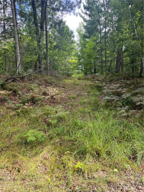 Lot 62 Honey Tree Terrace, Danbury, WI — photo 14
