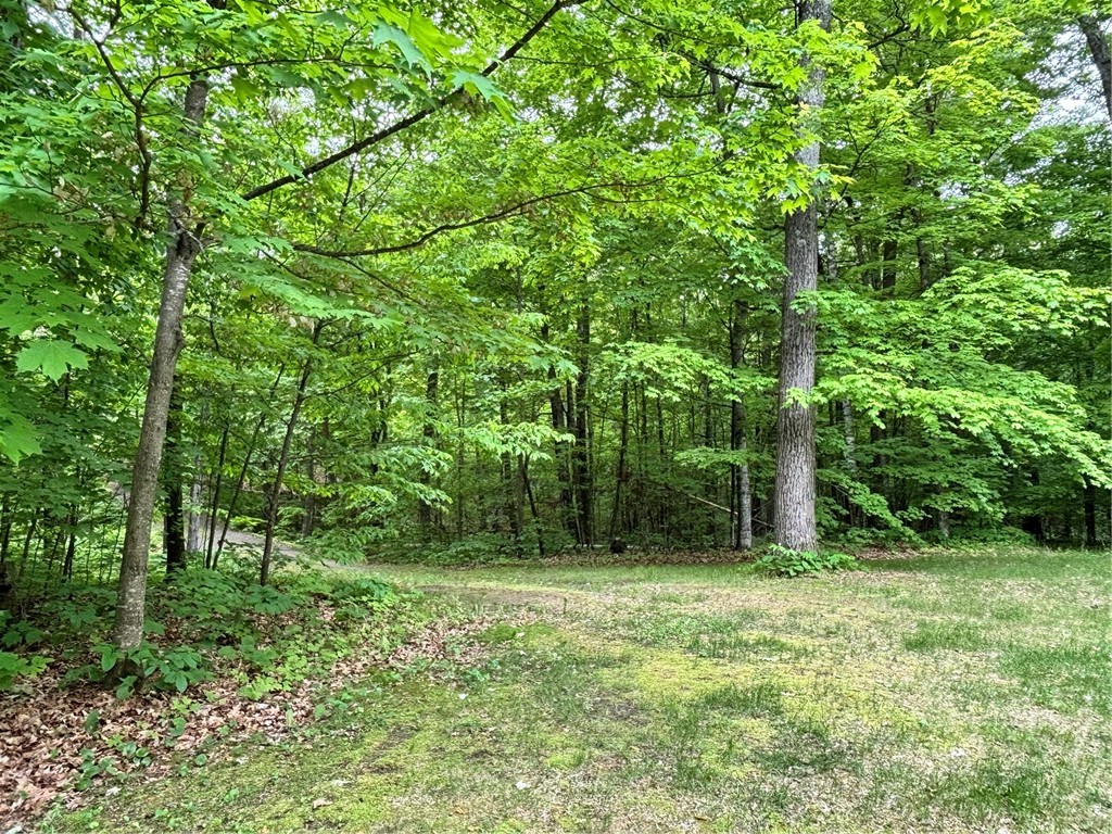 Land at Lot 7 Fox Ridge Pass, Danbury, WI 54830 — photo 14