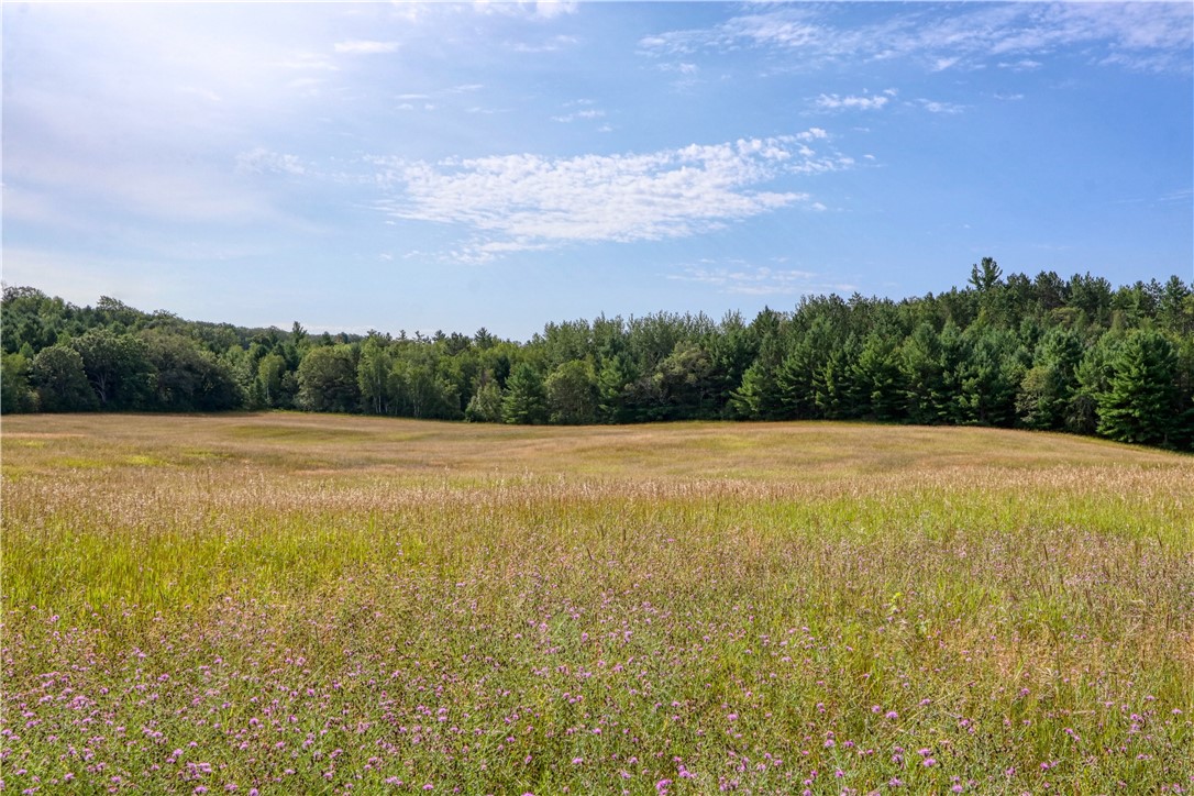 N9156 Tripp Road, Springbrook, WI — photo 42