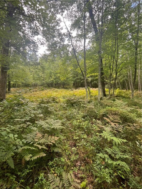 Lot 106 Setting Sun Court, Danbury, WI