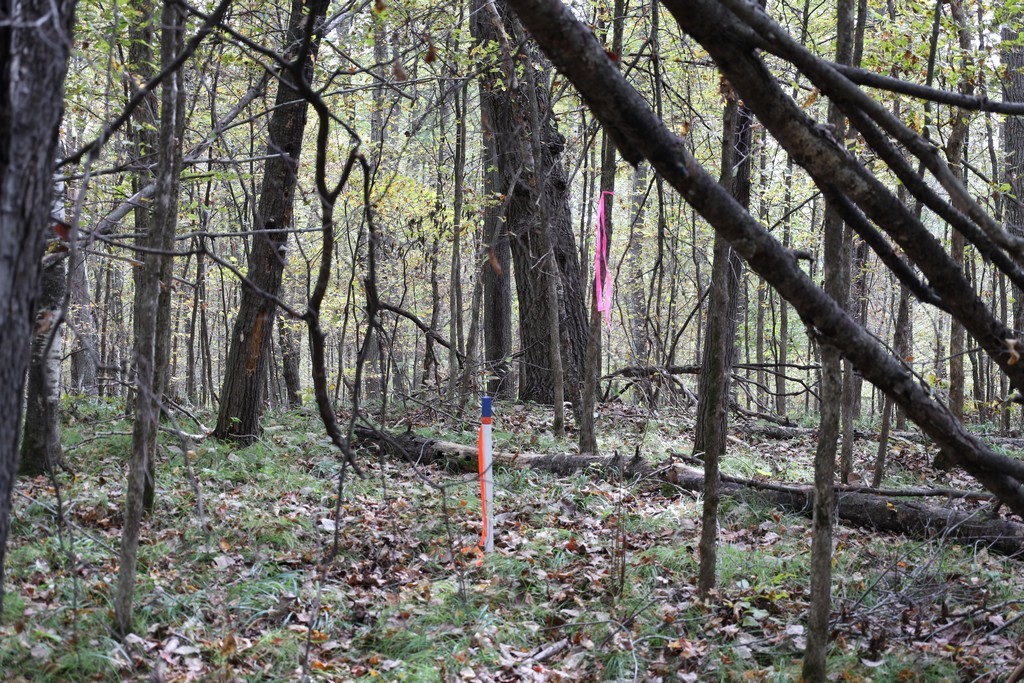 Land at XXX Norman's Landing Road, Webster, WI 54893 — photo 11