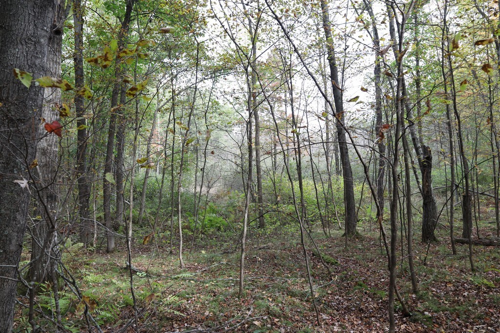 Land at XXX Norman's Landing Road, Webster, WI 54893 — photo 12