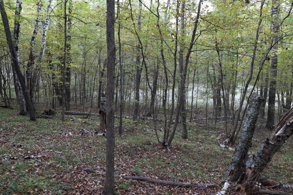 Land at XXX Norman's Landing Road, Webster, WI 54893 — photo 13