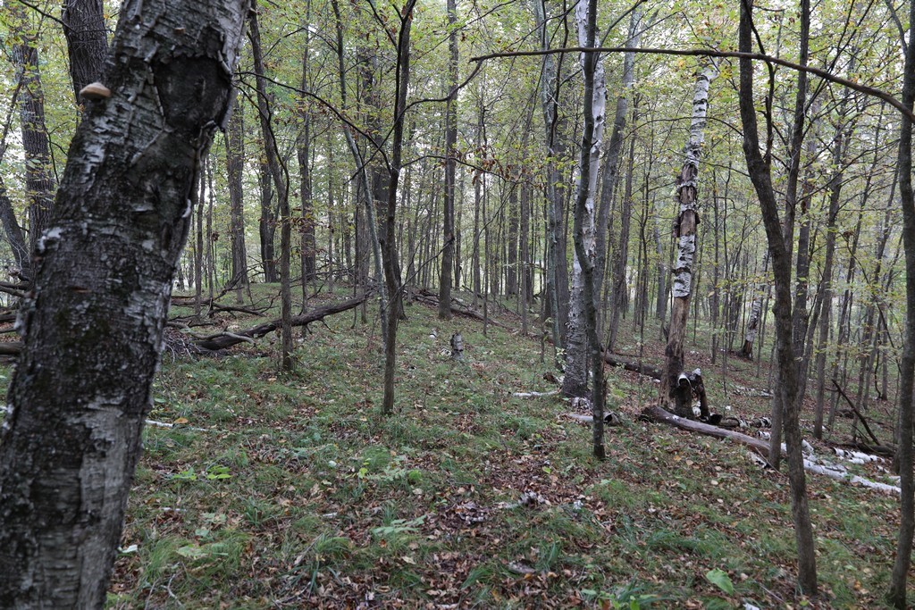 Land at XXX Norman's Landing Road, Webster, WI 54893 — photo 14