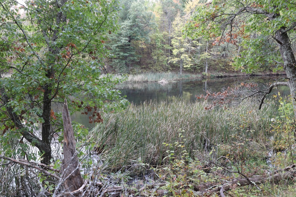 Land at XXX Norman's Landing Road, Webster, WI 54893 — photo 2